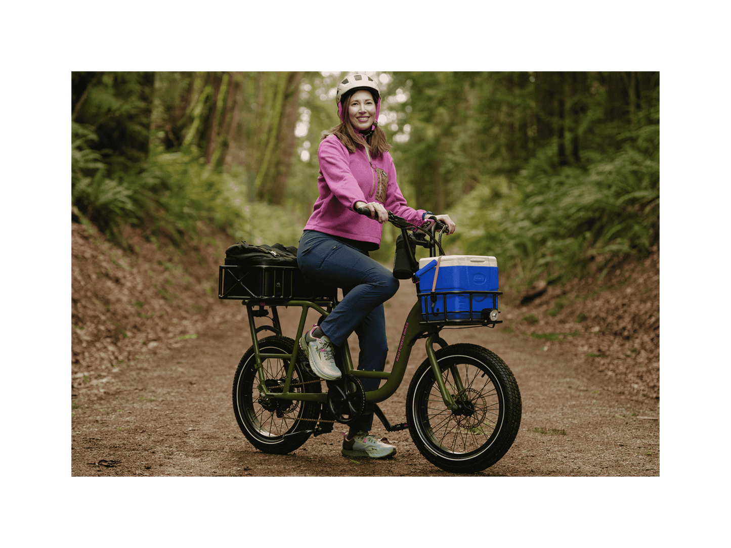 RadRunner™ Electric Cargo Utility Bike, top speed 20mph