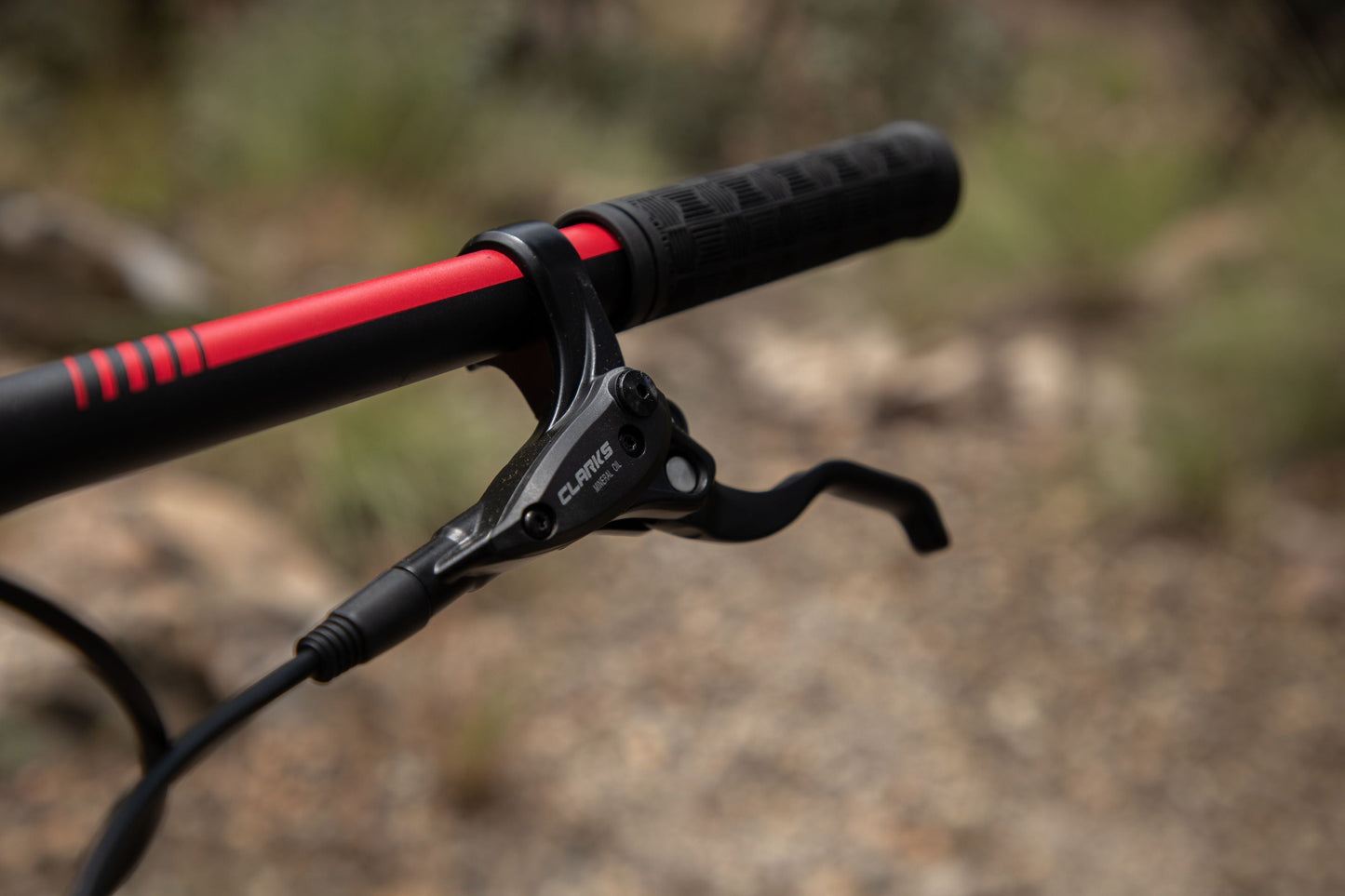 BELFORT Alom 2 29 Cross-Country Hardtail Mountain Bike