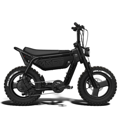 SUPER73 MZFT SE Ebike (A-series), Top Speed 20mph