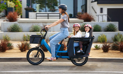 Flyer Loop Ebike, Top Speed 20mph