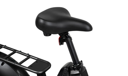 Flyer Loop Ebike, Top Speed 20mph