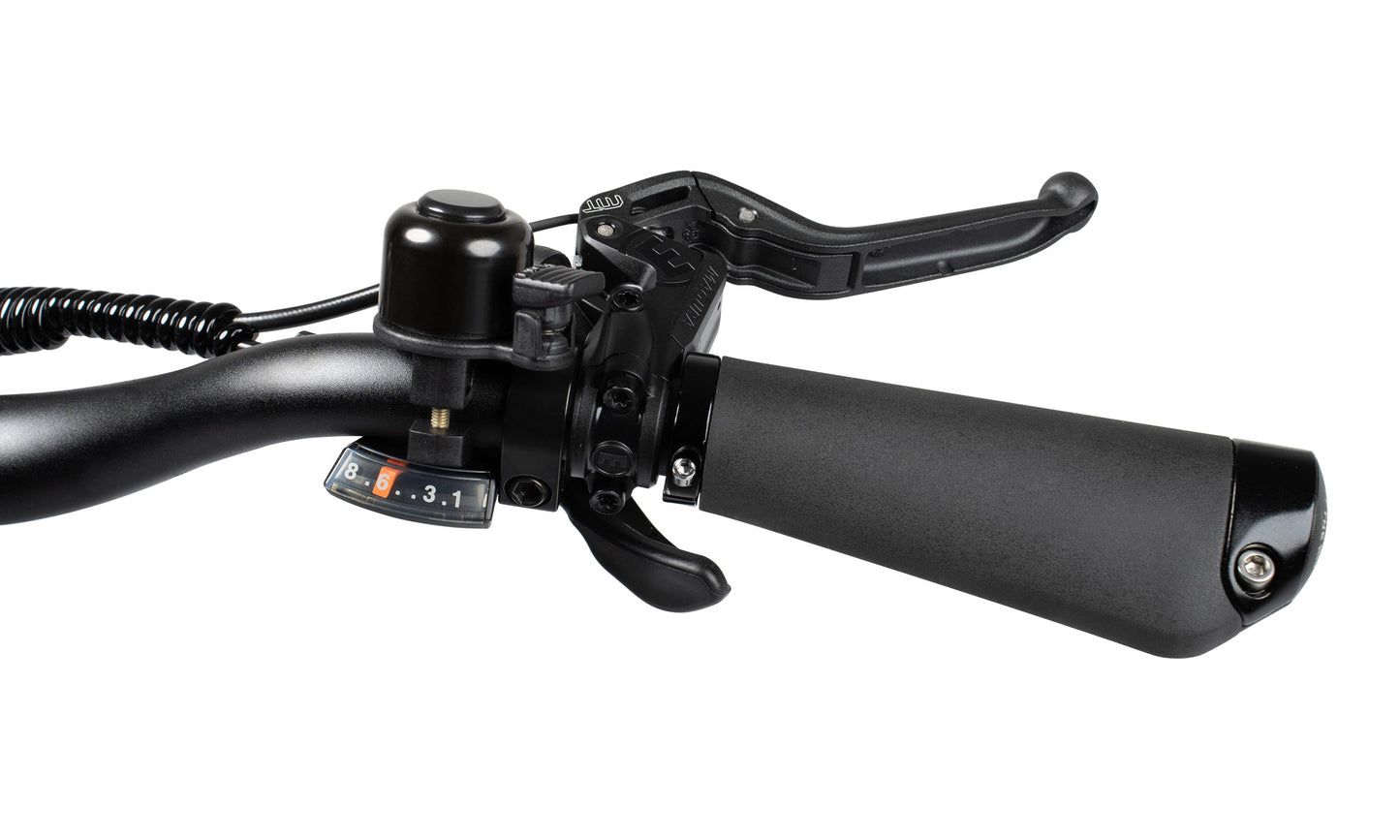Flyer Loop Ebike, Top Speed 20mph