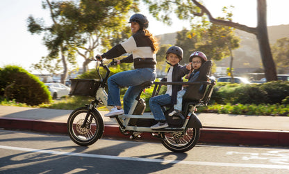 Flyer Loop Ebike, Top Speed 20mph