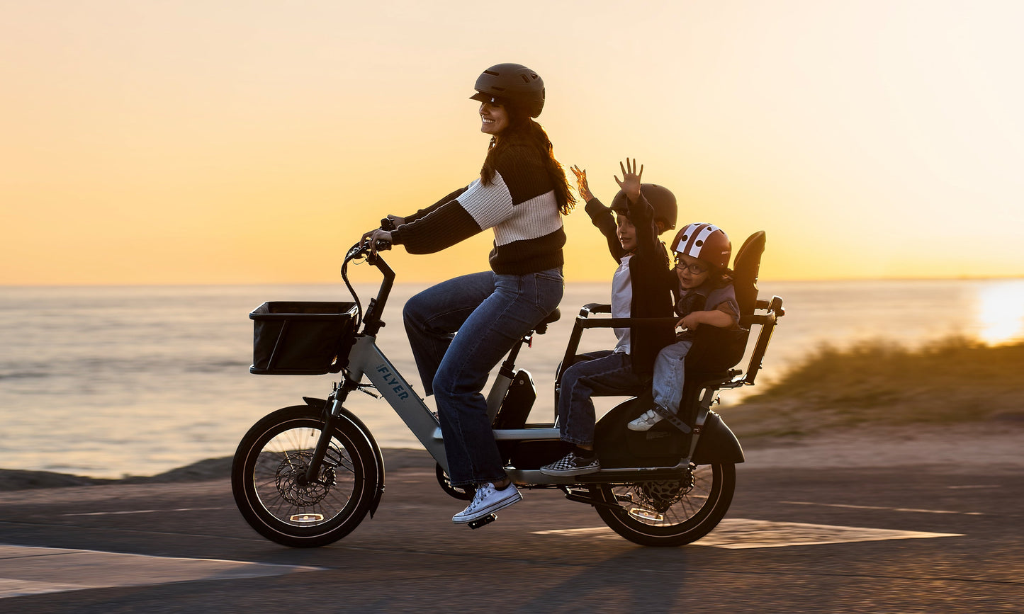 Flyer Loop Ebike, Top Speed 20mph