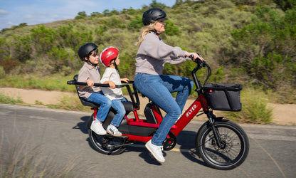 Flyer Loop Ebike, Top Speed 20mph