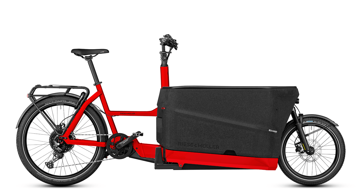 Riese & Müller Packster2 70