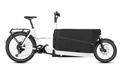 Riese & Müller Packster2 70