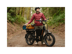 RadRunner™ Max Electric Cargo Utility Bike