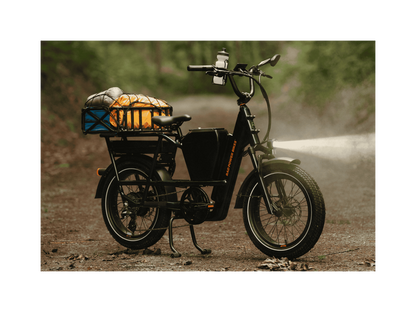 RadRunner™ Max Electric Cargo Utility Bike