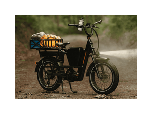 RadRunner™ Max Electric Cargo Utility Bike