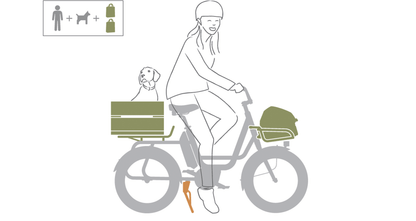 Benno RemiDemi, Top Speed 28mph