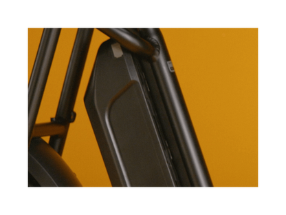RadRunner™ Plus Electric Cargo Utility Bike