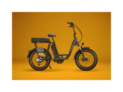RadRunner™ Plus Electric Cargo Utility Bike