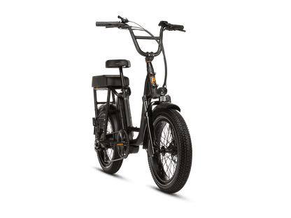 RadRunner™ Plus Electric Cargo Utility Bike
