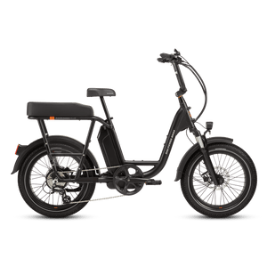RadRunner™ Plus Electric Cargo Utility Bike