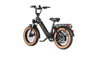 Big Sur Sport 20" Ebike