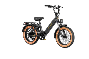 Big Sur Sport 20" Ebike