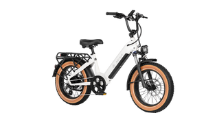 Big Sur Sport 20" Ebike