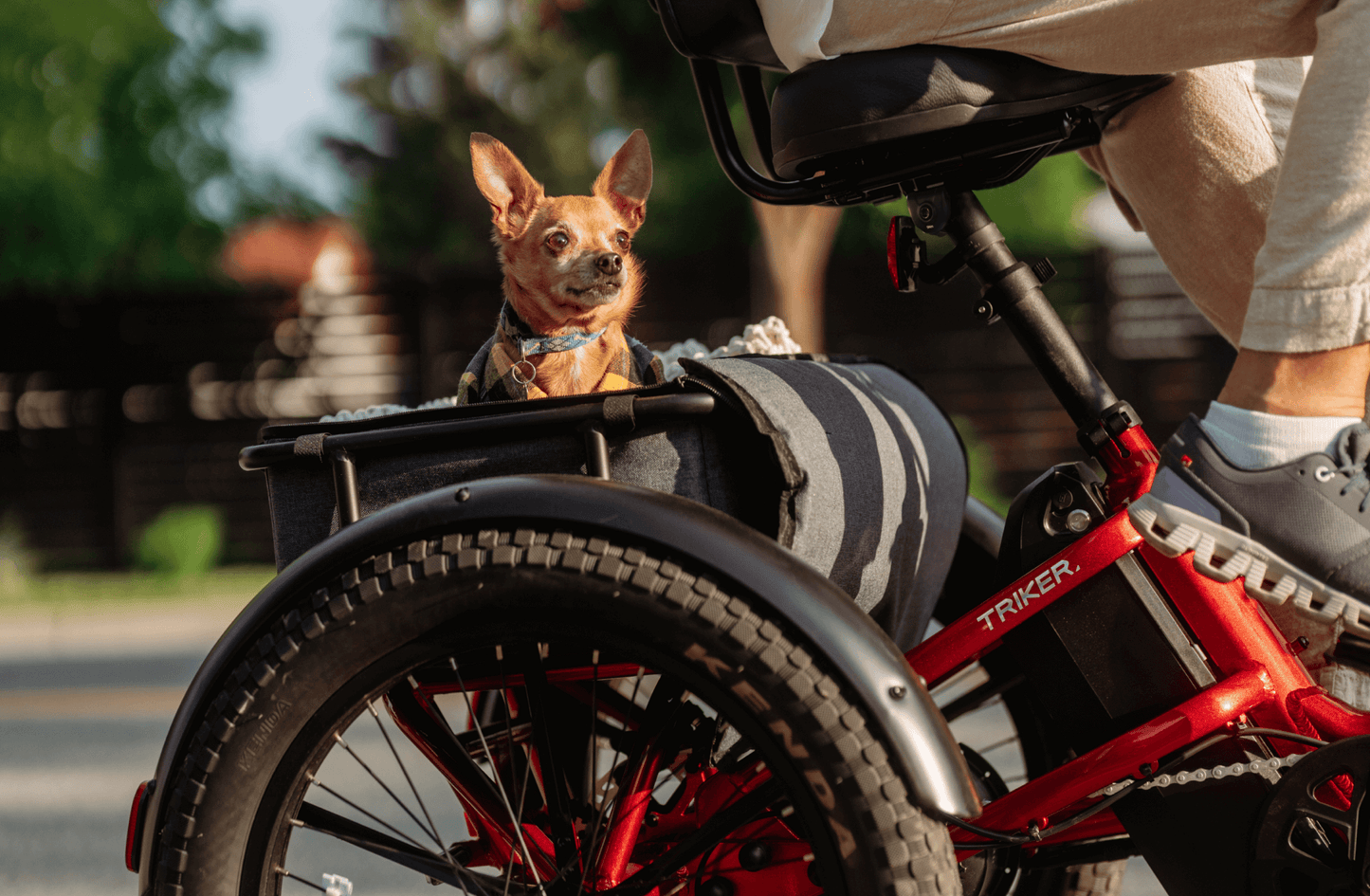 Velotric Triker Electric Tricycle