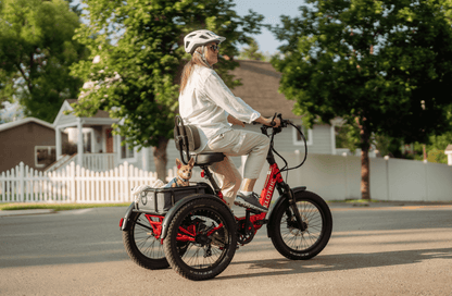 Velotric Triker Electric Tricycle