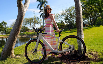 Vanpowers UrbanCross-Pro, Top Speed 25 mph