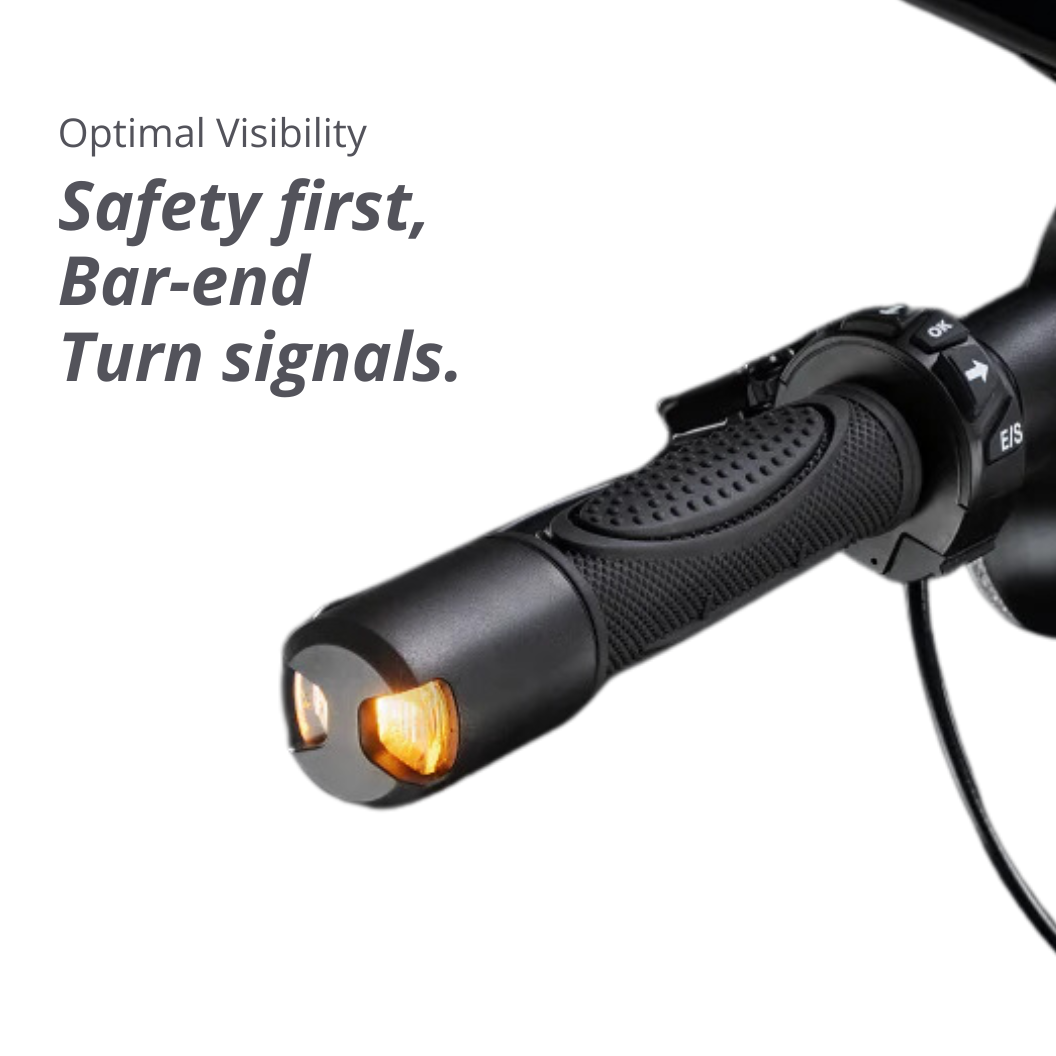 VX8 - VMAX Electric Scooter