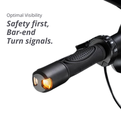 VX8 - VMAX Electric Scooter