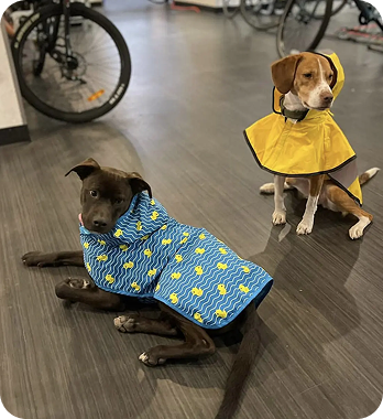 SASHA & FRANKIE