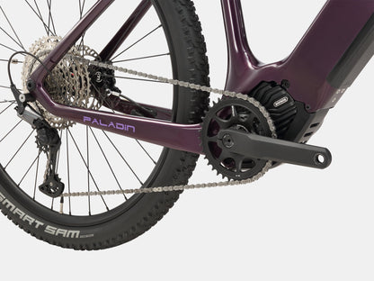 Paladin Electric XC Mountain Bike