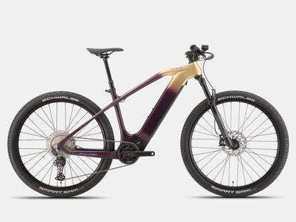 Paladin Electric XC Mountain Bike