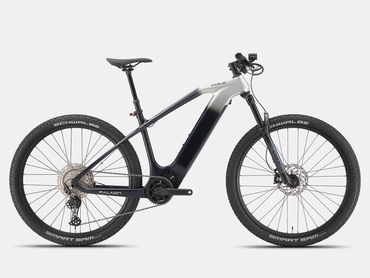 Paladin Electric XC Mountain Bike