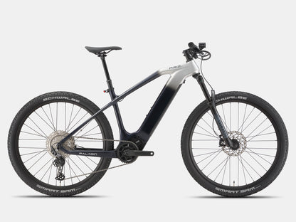 Paladin Electric XC Mountain Bike