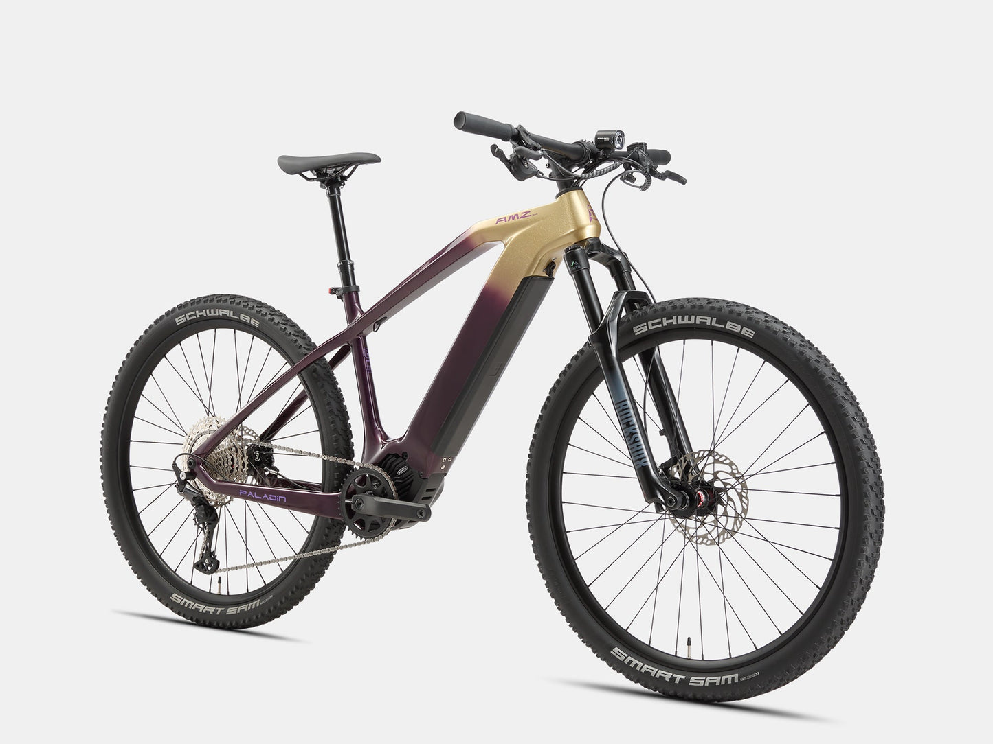 Paladin Electric XC Mountain Bike