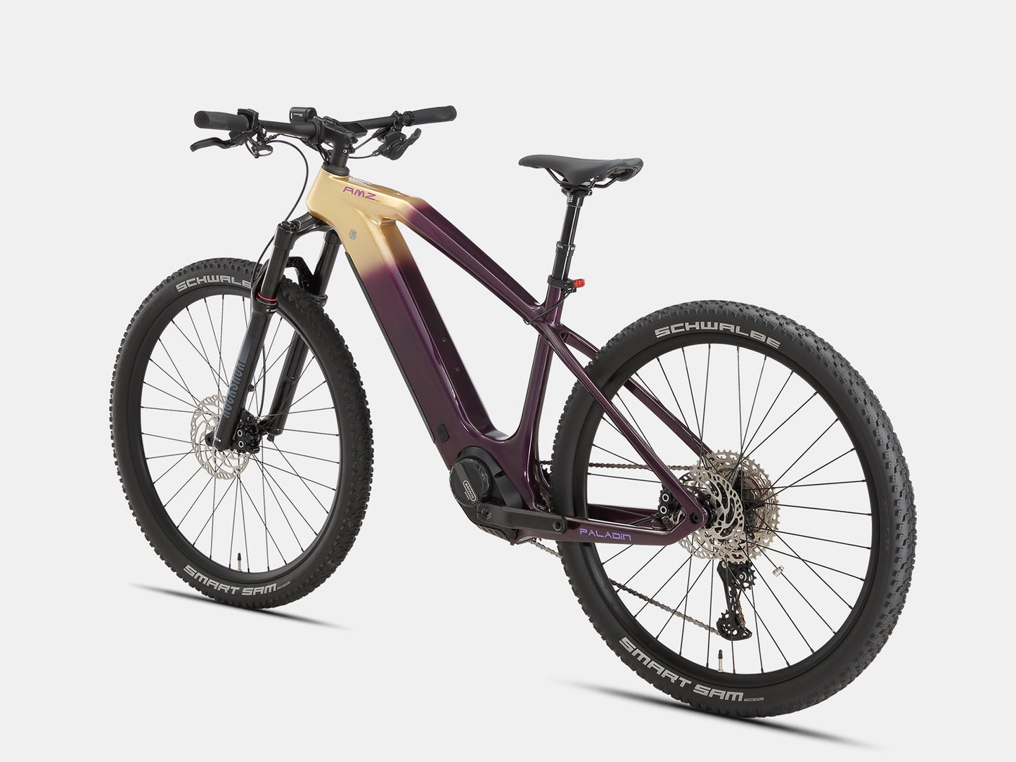 Paladin Electric XC Mountain Bike