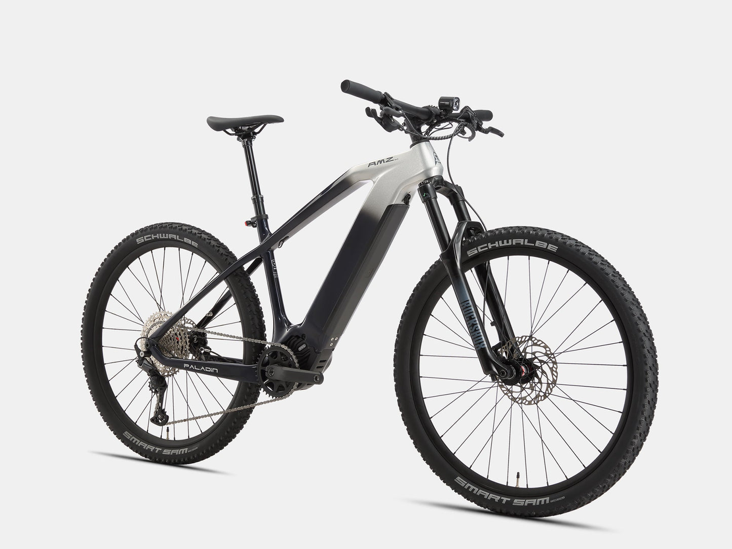Paladin Electric XC Mountain Bike
