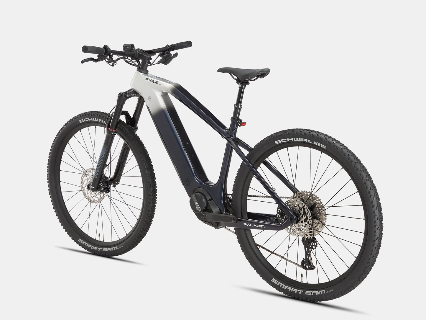 Paladin Electric XC Mountain Bike