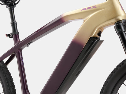 Paladin Electric XC Mountain Bike