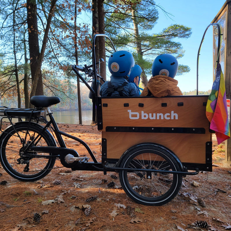 Cargo E-Bike