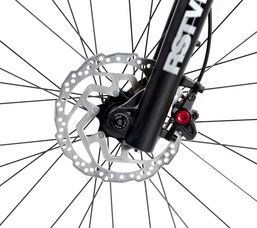 BELFORT Zotz 2 29 All-Mountain Full-Suspension Bike