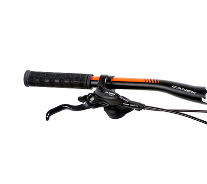 BELFORT Zotz 2 29 All-Mountain Full-Suspension Bike