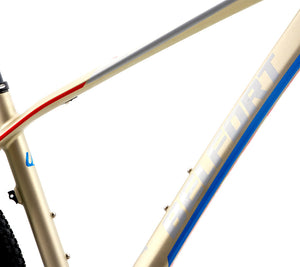 BELFORT Zamná Carbon 2 29 Cross-Country Hardtail Mountain Bike