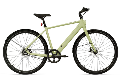 TENWAYS CGO600 Pro, Top Speed 20mph