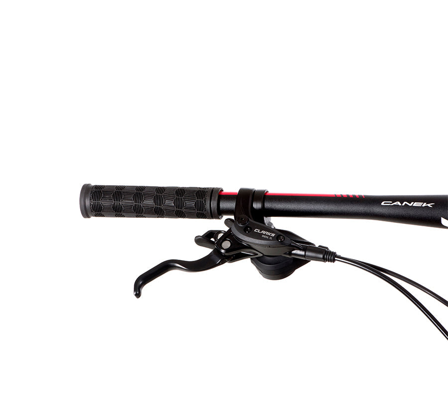 BELFORT Alom 2 29 Cross-Country Hardtail Mountain Bike