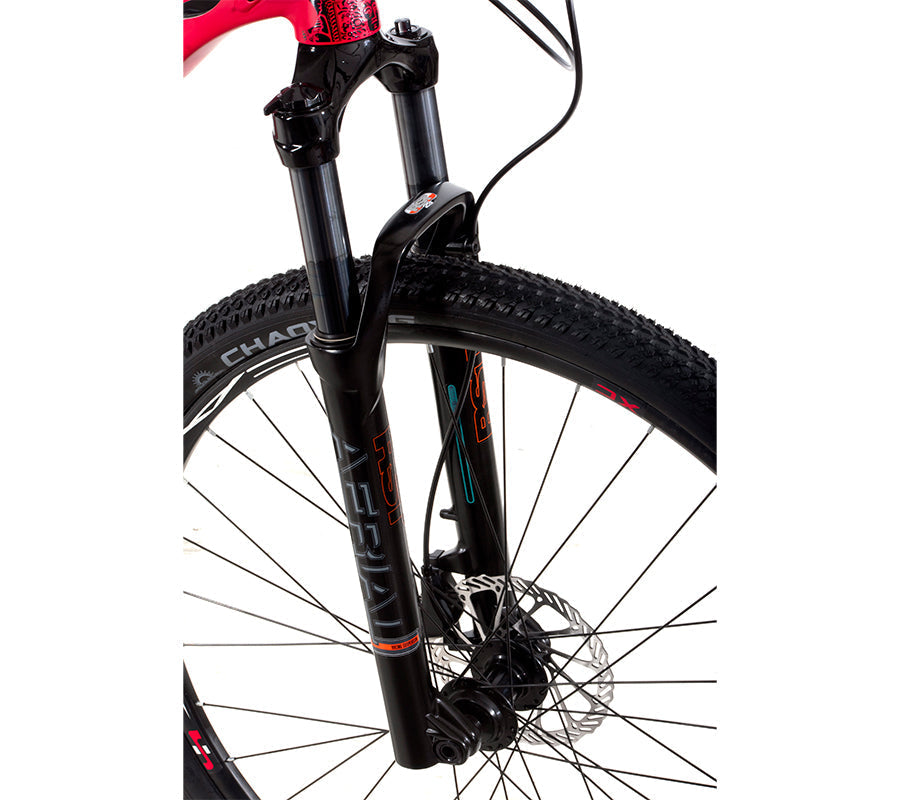BELFORT Alom 2 29 Cross-Country Hardtail Mountain Bike