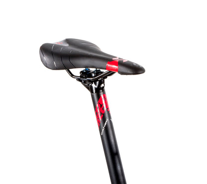 BELFORT Alom 2 29 Cross-Country Hardtail Mountain Bike