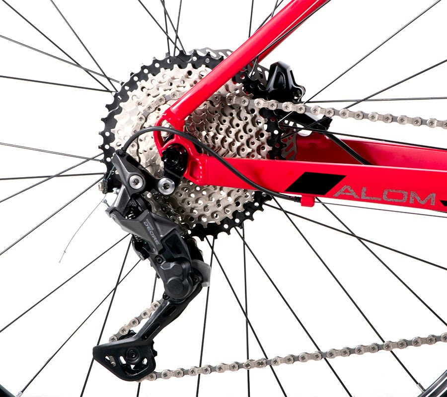 BELFORT Alom 2 29 Cross-Country Hardtail Mountain Bike