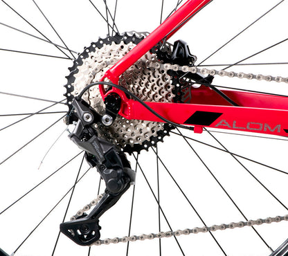 BELFORT Alom 2 29 Cross-Country Hardtail Mountain Bike