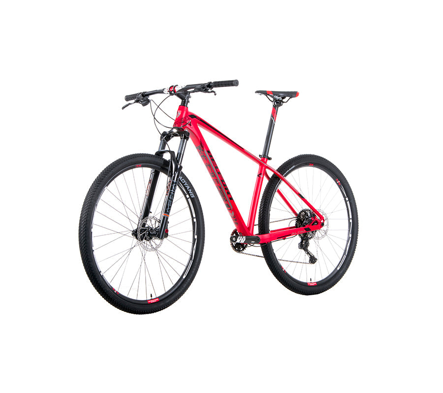 BELFORT Alom 2 29 Cross-Country Hardtail Mountain Bike
