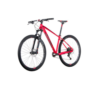 BELFORT Alom 2 29 Cross-Country Hardtail Mountain Bike