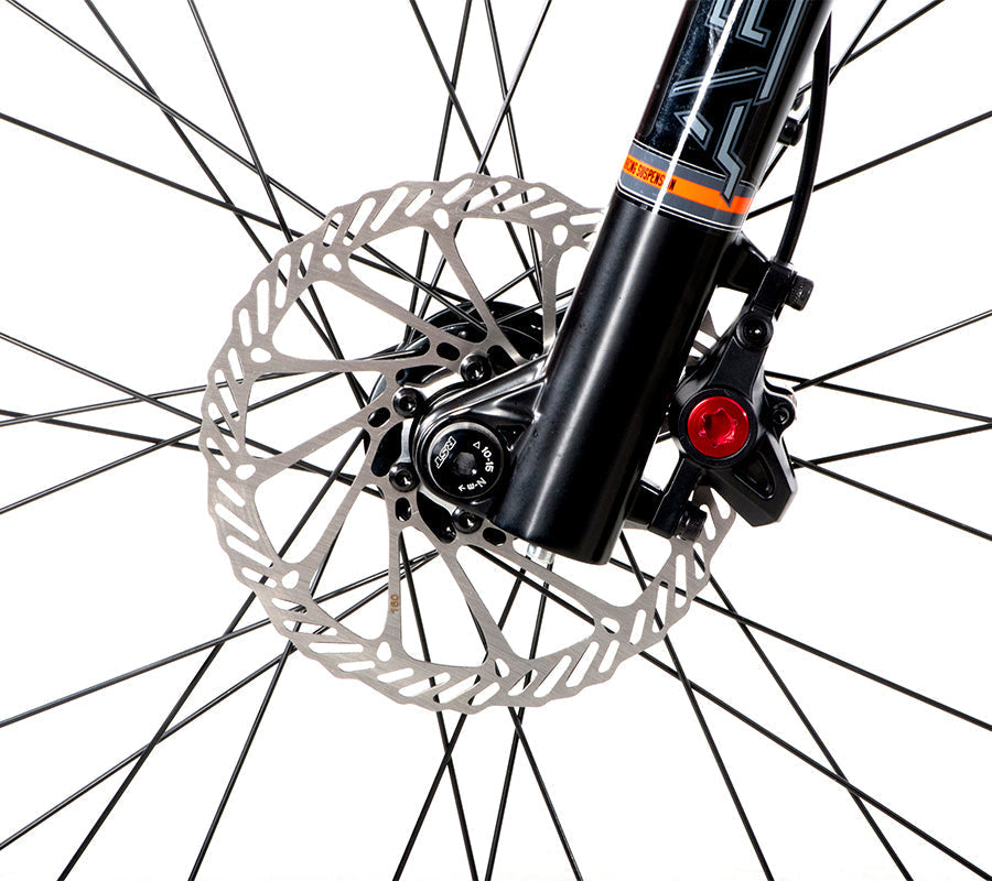 BELFORT Alom 2 29 Cross-Country Hardtail Mountain Bike